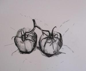 Amanda Wheatley, Large Tomatoes, ink & pen on cartridge paper,  28x28cm, £30   