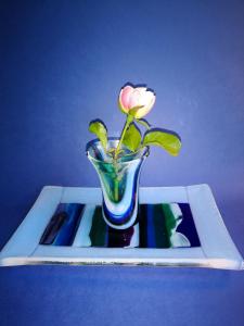 Janet Imre, Vase & Tray, fused glass,12x25x15cm, NFS