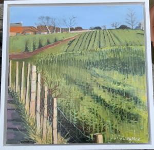 Joan MacRae, Williamstone Farm, Rape Field, oil on plywood, 33x33cm (framed),  £150  